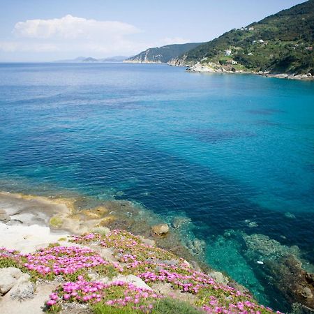 Hotel Gallo Nero Sant'Andrea  Ngoại thất bức ảnh